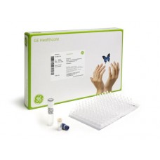 illustra Ready-To-Go GenomiPhi V3 DNA Amplification Kits